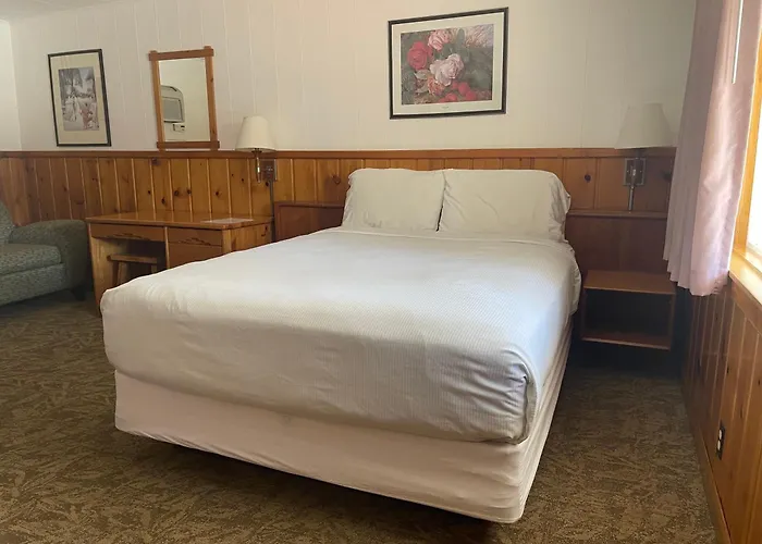Saddle & Surrey Motel